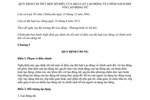 Nghị định 85/2015/NĐ-CP hướng dẫn Bộ luật Lao động chính sách lao động nữ