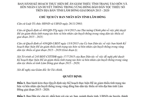 Quyết định 2175/QĐ-UBND giảm tảo hôn hôn nhân cận huyết thống vùng dân tộc thiểu số Lâm Đồng 2015