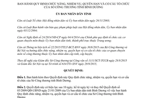 Quyết định 46/2015/QĐ-UBND chức năng nhiệm vụ quyền hạn cơ cấu tổ chức sở công thương Bình Dương