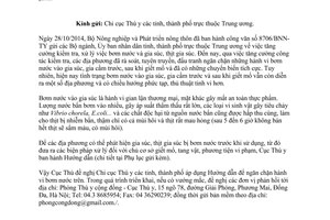 Công văn 1914/TY-TYCD xử lý hành vi bơm nước vào gia súc trước và sau khi giết mổ 2015