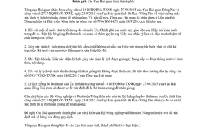 Công văn 9016/TCHQ-TXNK xác định bò thuần chủng nhân giống phục vụ phân loại xác định mã số