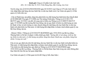 Công văn 1241/GSQL-GQ1 nhập khẩu cần trục bánh lốp và cần trục bánh xích 2015