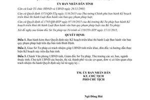 Quyết định 4246/QĐ-UBND thi hành luật ban hành văn bản quy phạm pháp luật Bình Định 2015