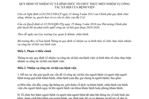 Thông tư 43/2015/TT-BYT hình thức tổ chức thực hiện nhiệm vụ công tác xã hội của Bệnh viện