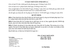 Quyết định 202/QĐ-UBND quản lý thi hành pháp luật xử lý vi phạm hành chính Sơn La 2016