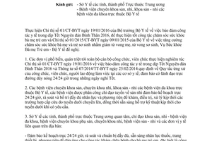 Công văn 518/BYT-BM-TE công tác chăm sóc sức khỏe bà mẹ trẻ em dịp Tết Nguyên đán Bính Thân