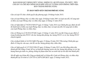 Quyết định 09/2016/QĐ-UBND chức năng nhiệm vụ tiêu chuẩn chế độ lực lượng dân phòng Đà Nẵng