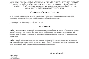 Quyết định 306/QĐ-BHXH tổ trưởng phó tổ trưởng tổ nghiệp vụ bảo hiểm xã hội huyện 2016