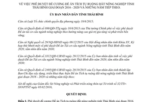 Quyết định 449/QĐ-UBND đề án tích tụ ruộng đất nông nghiệp Thái Bình 2016 2020