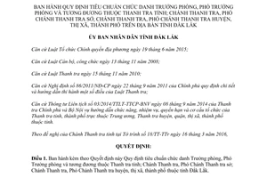 Quyết định 16/2016/QĐ-UBND tiêu chuẩn chức danh Trưởng Phó phòng Thanh tra Đắk Lắk