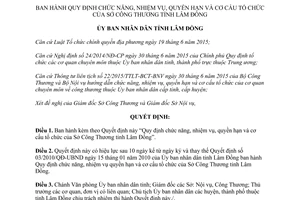 Quyết định 30/2016/QĐ-UBND chức năng nhiệm vụ quyền hạn cơ cấu tổ chức sở công thương Lâm Đồng