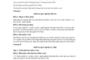 Nghị định 21/2023/NĐ-CP bảo hiểm vi mô mới nhất