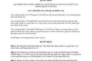 Quyết định 72/QĐ-HQĐNa cơ cấu tổ chức Phòng Quản lý rủi ro Đồng Nai 2017