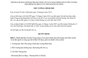 Quyết định 43/QĐ-TTg thành lập Ban Chỉ đạo cải cách chính sách tiền lương bảo hiểm xã hội 2017