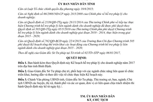 Quyết định 100/QĐ-UBND hỗ trợ pháp lý cho doanh nghiệp Bình Định 2017