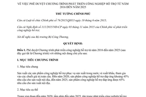 Quyết định 68/QĐ-TTg phê duyệt Chương trình phát triển công nghiệp hỗ trợ 2016 2025 2017