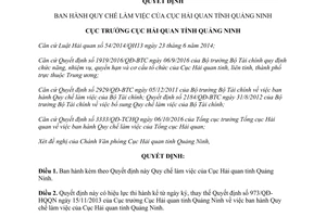 Quyết định 21/QĐ-HQQN quy chế làm việc Cục Hải quan tỉnh Quảng Ninh