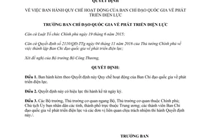 Quyết định 29/QĐ-BCĐQGĐL Quy chế hoạt động Ban Chỉ đạo quốc gia về phát triển điện lực 2017
