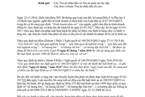 Công văn 06/TANDTC-PC xử lý hình sử hành vi tàng trự vận chuyển buôn bán pháo nổ 2017