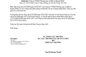 Công văn 745/TCHQ-QLRR phúc đáp 02/QM vướng mắc phân luồng tờ khai lô hàng nhập khẩu 2017