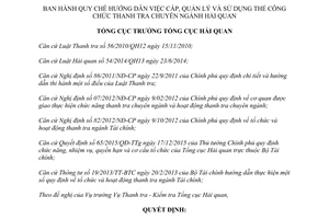 Quyết định 595/QĐ-TCHQ cấp quản lý sử dụng Thẻ công chức thanh tra chuyên ngành hải quan 2017