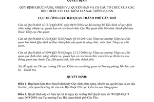 Quyết định 92/QĐ-HQCT chức năng nhiệm vụ các Đội thuộc Chi cục Kiểm tra sau thông quan Cần Thơ 2017