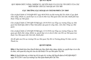 Quyết định 89/QĐ-HQCT chức năng nhiệm vụ quyền hạn các đội thuộc Chi cục Hải quan Cần Thơ 2017