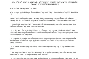 Hướng dẫn 251/HD-TLĐ sửa đổi Hướng dẫn 238/HD-TLĐ thi hành Điều lệ Công đoàn Việt Nam khóa XI 2017