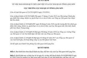 Quyết định 389/QĐ-HQLS Quy chế làm việc của Cục Hải quan tỉnh Lạng Sơn 2017