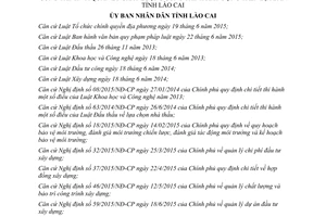 Quyết định 10/2017/QĐ-UBND quản lý dự án đầu tư xây dựng công trình chất lượng công trình Lào Cai 2017