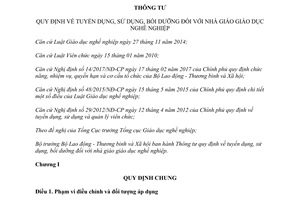 Thông tư 06/2017/TT-BLĐTBXH tuyển dụng sử dụng bồi dưỡng nhà giáo giáo dục nghề nghiệp