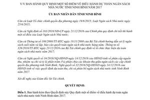 Quyết định 385/QĐ-UBND ban hành quy định điều hành dự toán ngân sách nhà nước Ninh Bình 2017