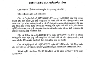 Quyết định 456/QĐ-UBND 2017 công bố công khai số liệu quyết toán ngân sách Cà Mau