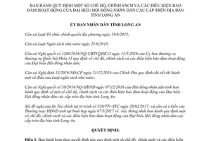 Quyết định 12/2017/QĐ-UBND chế độ chính sách hoạt động Đại biểu Hội đồng nhân dân tỉnh Long An