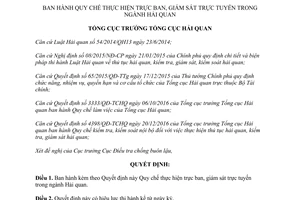 Quyết định 888/QĐ-TCHQ Quy chế thực hiện trực ban giám sát trực tuyến trong ngành hải quan 2017