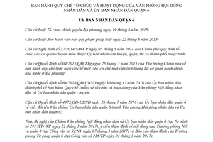 Quyết định 02/2017/QĐ-UBND Văn phòng Hội đồng nhân dân Ủy ban nhân dân quận 6 Hồ Chí Minh 2017