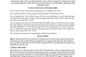 Quyết định 07/2017/QĐ-UBND mức hỗ trợ cụ thể khoanh nuôi tái sinh có trồng rừng bổ sung Điện Biên