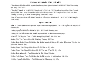 Quyết định 751/QĐ-UBND 2017 thành lập Ban chỉ đạo thực hiện Năm doanh nghiệp Phú Yên 2016