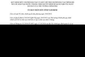 Quyết định 09/2017/QĐ-UBND thực hiện 46/2015/QĐ hỗ trợ chi phí đào tạo sơ cấp dưới 3 tháng Bình Định