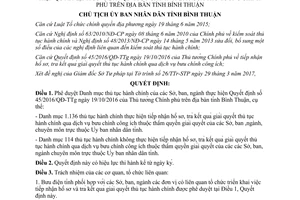 Quyết định 926/QĐ-UBND thủ tục hành chính theo Quyết định 45/2016/QĐ-TTg Bình Thuận 2017