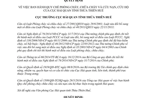 Quyết định 81/QĐ-HQTTH 2017 quy chế phòng cháy cứu nạn cứu hộ Cục Hải quan Thừa Thiên Huế