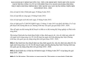 Quyết định 12/2017/QĐ-TTg phân bổ tỷ lệ vốn đối ứng ngân sách xây dựng nông thôn mới 2016 2020