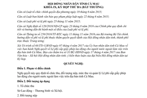 Nghị quyết 12/2017/NQ-HĐND lệ phí cấp giấy phép lao động cho người nước ngoài làm việc Cà Mau