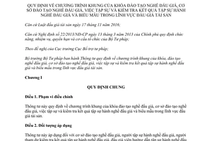 Thông tư 06/2017/TT-BTP chương trình đào tạo nghề đấu giá kiểm tra kết quả tập sự nghề đấu giá