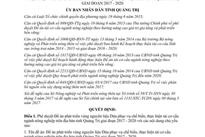 Quyết định 952/QĐ-UBND 2017 Đề án phát triển vùng nguyên liệu Dứa Quảng Trị 2017 2020