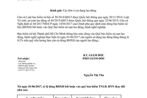 Công văn 1012/BHXH-QLT 2017 bảo hiểm xã hội bắt buộc Quỹ tai nạn lao động Hồ Chí Minh