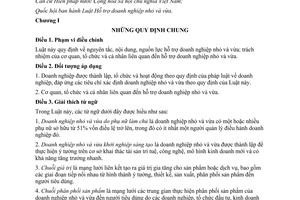 Luật Hỗ trợ doanh nghiệp nhỏ và vừa 2017