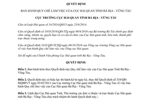 Quyết định 0597/QĐ-HQBRVT 2017 Quy chế làm việc Cục Hải quan Bà Rịa Vũng Tàu