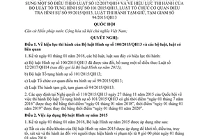 Nghị quyết 41/2017/QH14 thi hành Bộ luật Hình sự 100/2015/QH13 được sửa đổi tại 12/2017/QH14