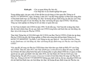 Công văn 808/TCLN-CTVN 2017 thông tin nội dung liên quan Thông tư 04/2011/TT-BNNPTNT